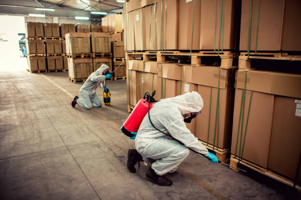 Trusted Comanche, OK Pest Control Experts