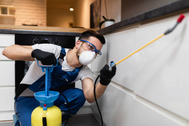 Best Cockroach Control Services  in Comanche, OK
