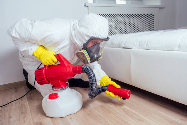 Best Rat Extermination Near Me  in Comanche, OK