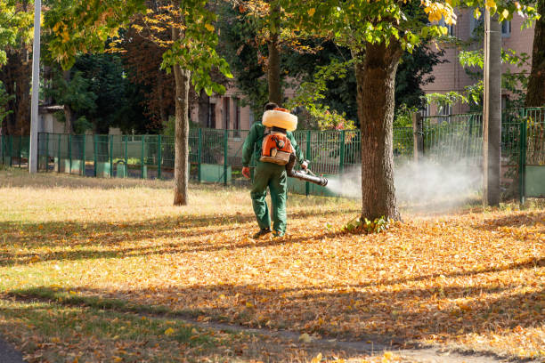 Best Insect Control  in Comanche, OK