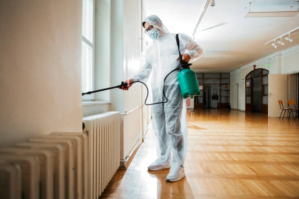 Best Affordable Pest Control Services  in Comanche, OK