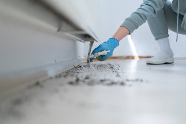 Best Best Pest Control Companies  in Comanche, OK