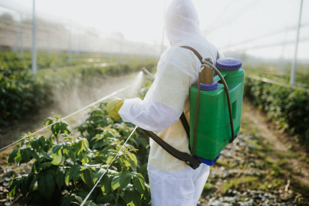 Best Pest Control Near Me  in Comanche, OK